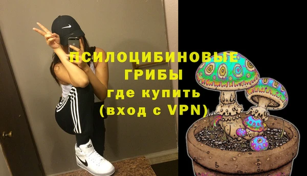 ешки Волосово