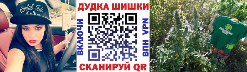 Конопля марихуана  где купить наркоту  Новоалтайск 
